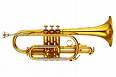 Cornet Section